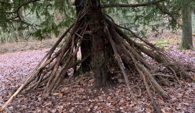 Learning in a Forest School Environment